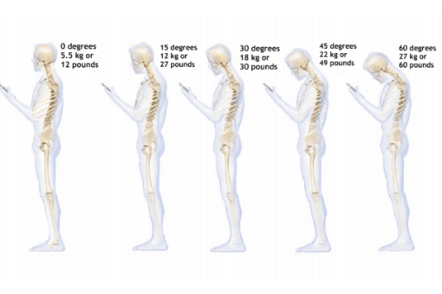 Weight on the Spine from Cell Phone Use