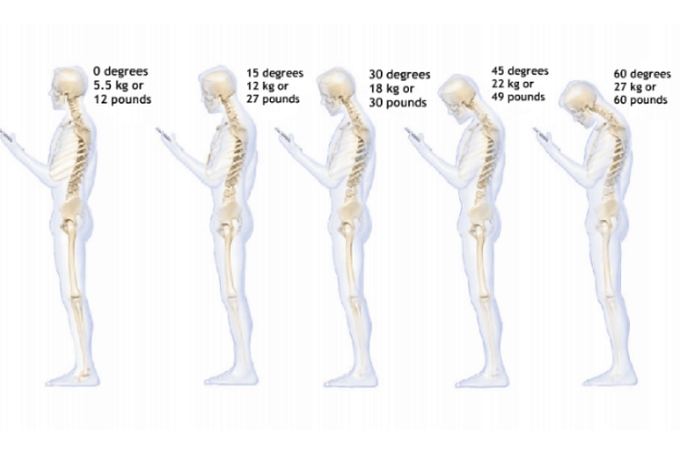 Weight on the Spine from Cell Phone Use Weight on the Spine from Cell Phone Use