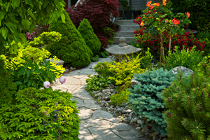 Gardening Gives Illustration of TCM